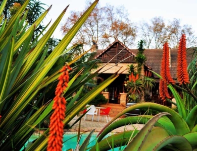 Gardens and Lodge